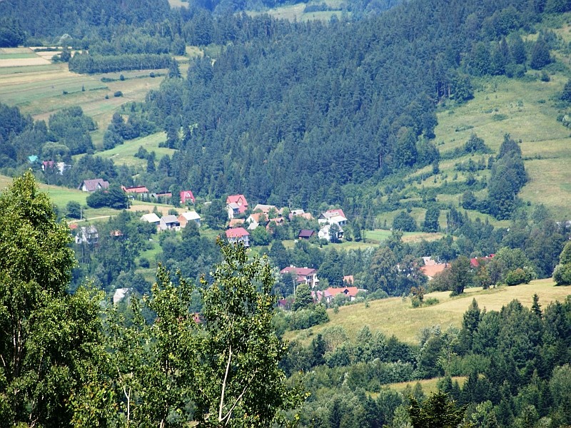 29